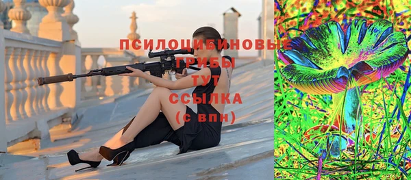 ECSTASY Медвежьегорск
