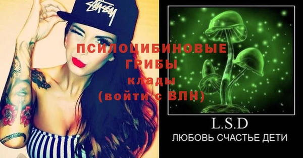 прущий лед Михайлов